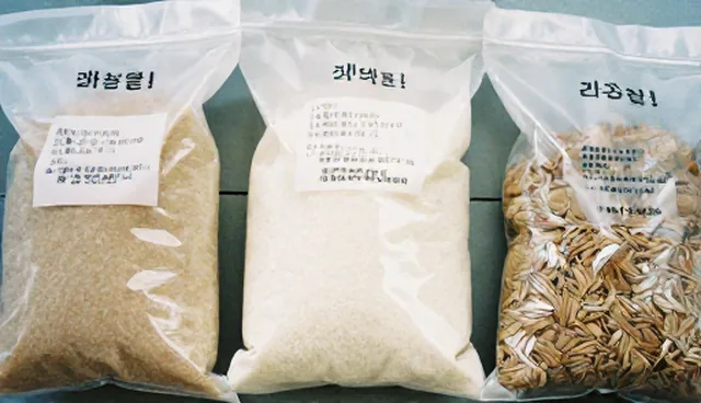 食品研发中如何通过选型与流程优化实现成本控制
